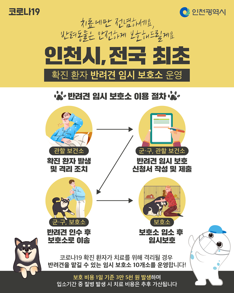 확진환자 반려견 임시보호소 운영의 1번째 이미지