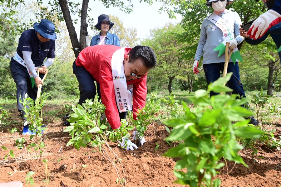 연수구화 진달래 식재 행사의 1번째 이미지