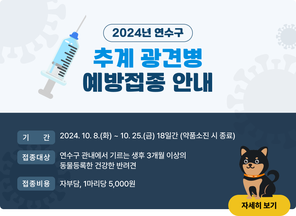 2024년 연수구 추계 광견병 예방접종 안내 ○ 기    간 : 2024. 10. 8.(화) ~ 10. 25.(금) 18일간 (약품소진 시 종료) ○ 접종대상 : 연수구 관내에서 기르는 생후 3개월 이상의 동물등록한 건강한 반려견 ○ 접종비용 : 자부담, 1마리당 5,000원                                [자세히 보기>>]